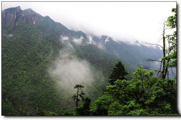 烏君山_光澤烏君山_烏君山