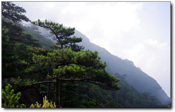 建甌辰山_建甌建甌辰山_建甌辰山