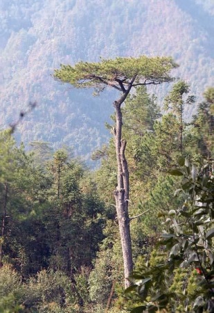 白馬山_松溪白馬山_白馬山