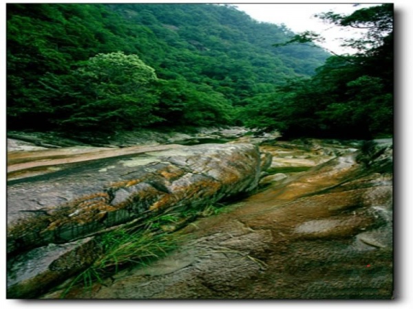 黃崗山大峽谷_武夷山黃崗山大峽谷_黃崗山大峽谷