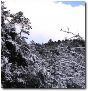 茫蕩山_延平茫蕩山_茫蕩山