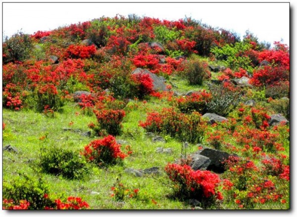 寧德高崗山_古田高崗山(福建寧德)_高崗山