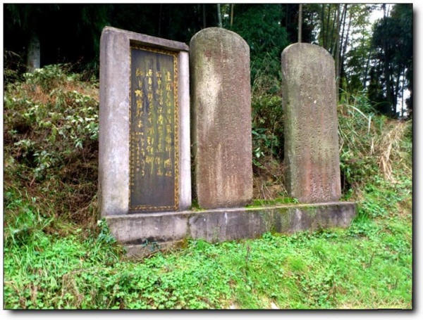 寧德南漈山_蕉城南漈山(福建寧德)_南漈山