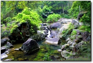 寧德南漈山_蕉城南漈山(福建寧德)_南漈山