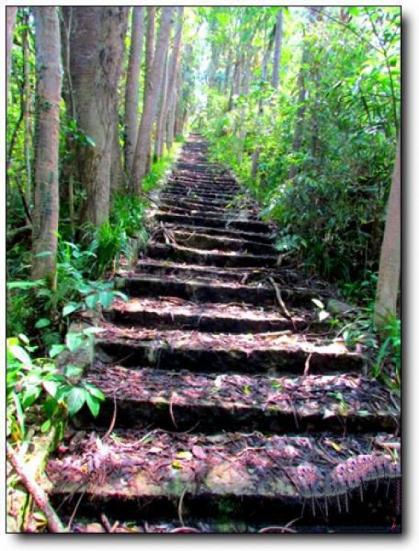 寧德雞公山島_蕉城雞公山島(福建寧德)_雞公山島