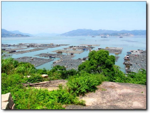 寧德雞公山島_蕉城雞公山島(福建寧德)_雞公山島