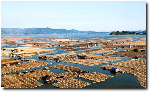 寧德東安島_霞浦東安島(福建寧德)_東安島