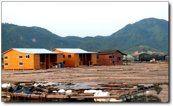 寧德東安島_霞浦東安島(福建寧德)_東安島