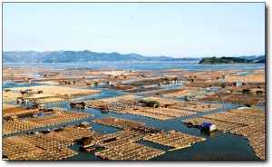 寧德東安島_霞浦東安島(福建寧德)_東安島