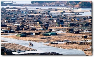 寧德東安島_霞浦東安島(福建寧德)_東安島