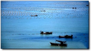 寧德大京沙灘_霞浦大京沙灘(福建寧德)_大京沙灘