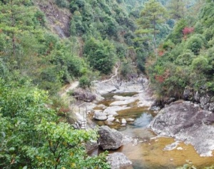 寧德蝙蝠洞_周寧蝙蝠洞(福建寧德)_蝙蝠洞