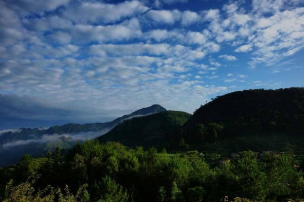 寧德陳峭景區_周寧陳峭景區(福建寧德)_陳峭景區