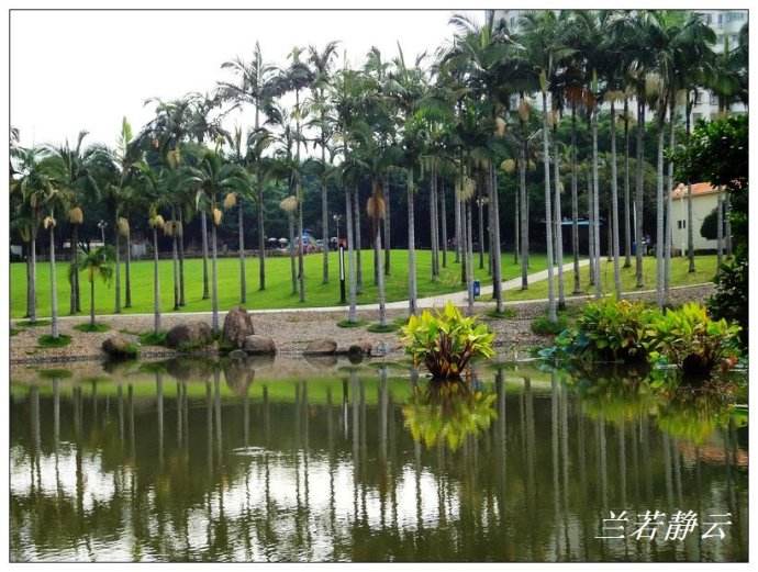 蓮花公園 (2)_蓮花公園