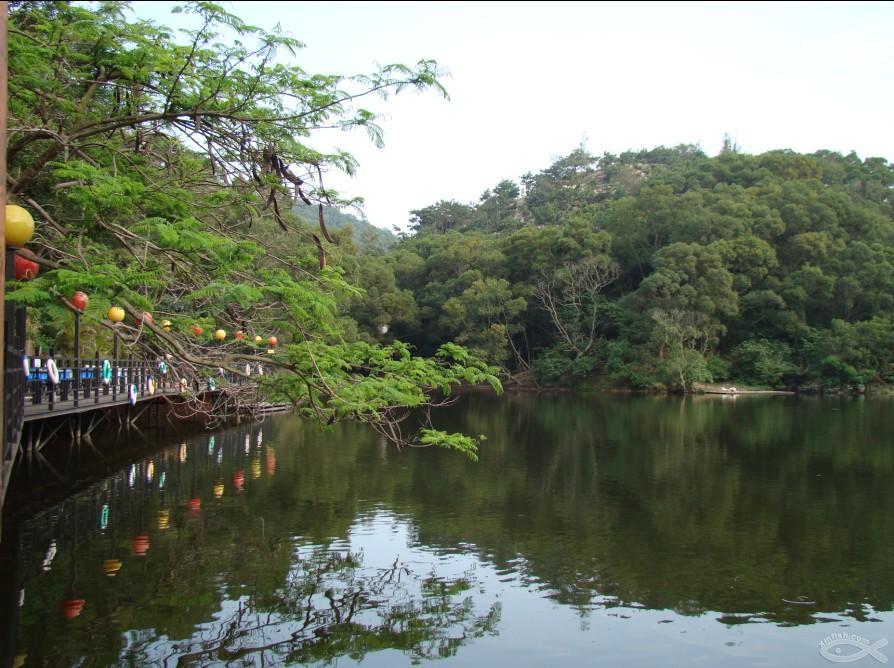 廈門螢火蟲公園_廈門螢火蟲公園