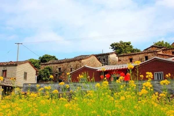 泉州泉港區(qū)涂嶺鎮(zhèn)樟腳村 (1)_泉州泉港區(qū)涂嶺鎮(zhèn)樟腳村