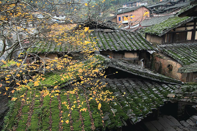 三明桂峰村 (7)_三明桂峰村