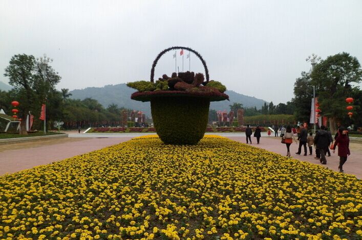 漳州東南花都花博園 (2)_東南花都花博園