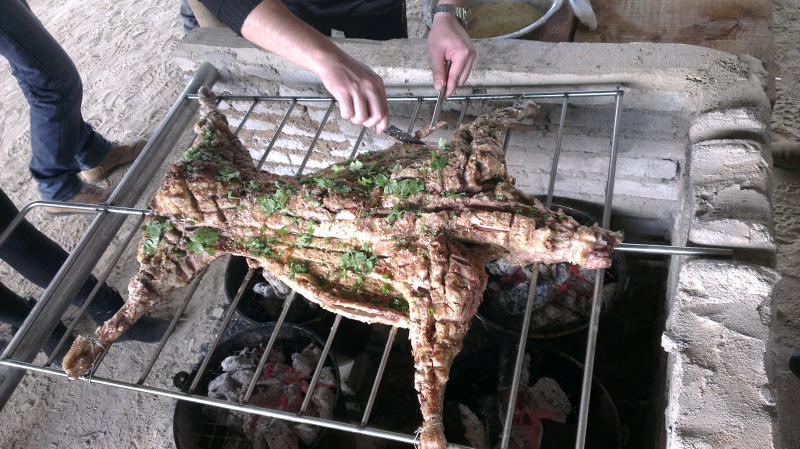 海滄土味佳體驗式農場 (3)_海滄土味佳體驗式農場_海滄海滄土味佳體驗式農場_海滄土味佳體驗式農場