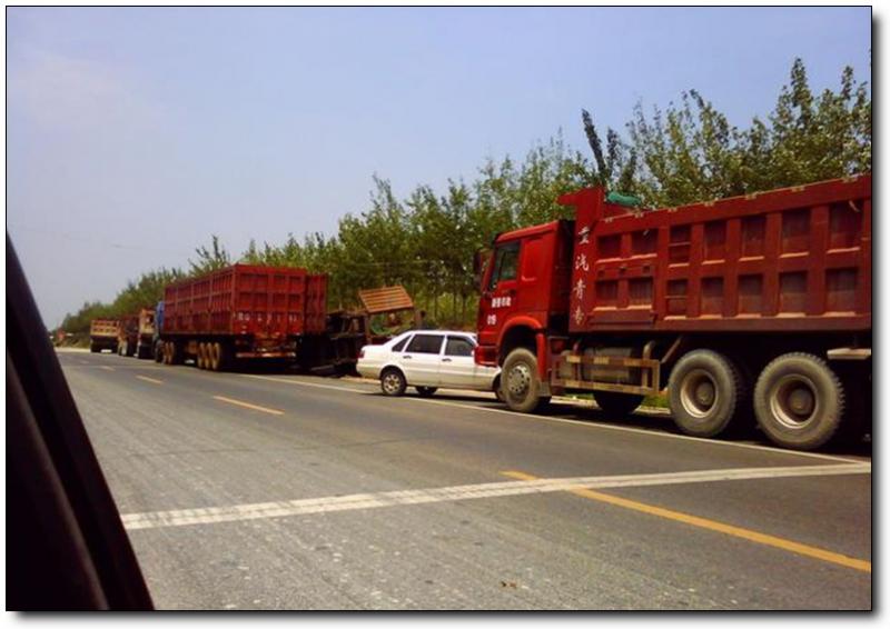 濱湖路 (6)_濱湖路好玩嗎_濱湖路怎么去(在哪里)_濱湖路門票多少錢?_濱湖路