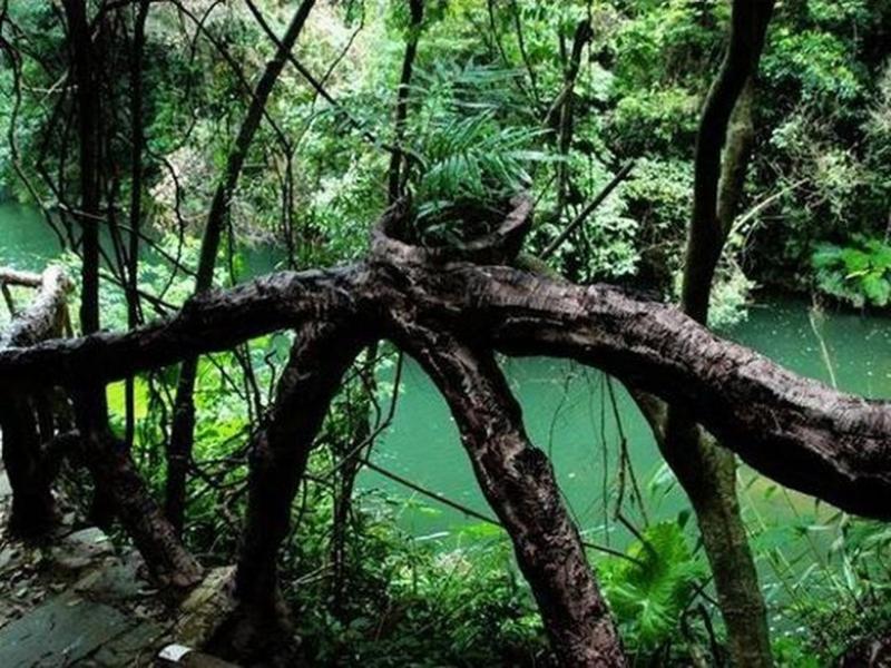 安溪龍門森林公園 (1)_安溪龍門森林公園