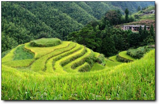 晉江戴云山 (5)_晉江戴云山