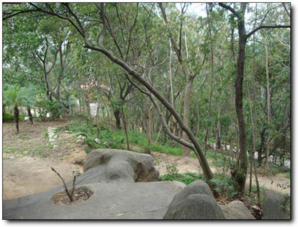 鯉城仙公山公園 (2)_鯉城仙公山公園