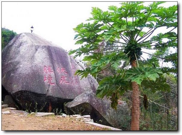 泉港虎巖山 (4)_泉港虎巖山