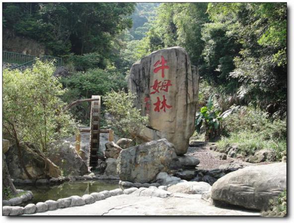 永春牛姆林 (1)_永春牛姆林