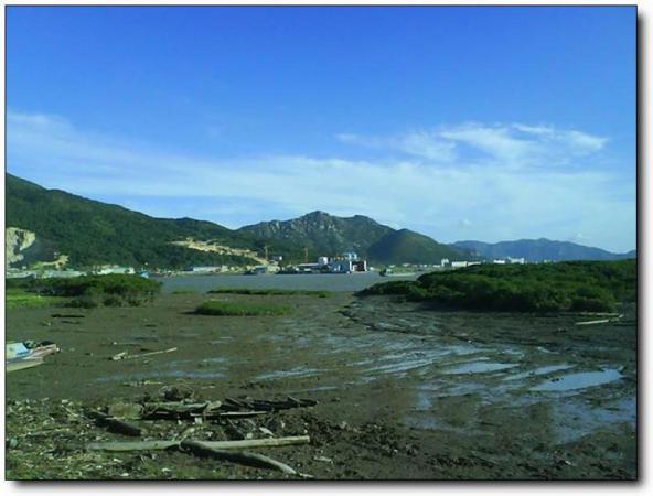 龍海海門島 (4)_龍海海門島