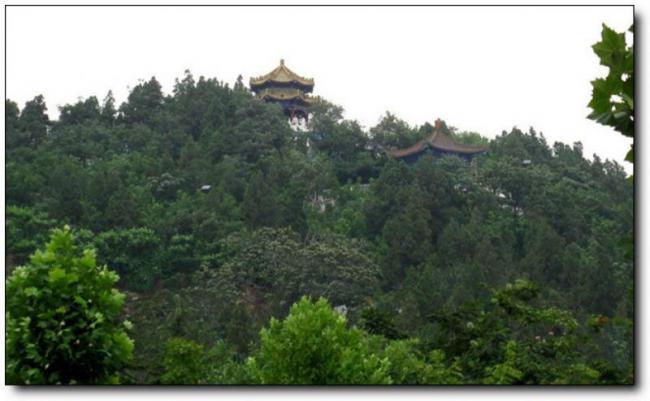 龍海龍海鳳凰山 (6)_海鳳凰山