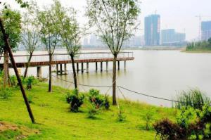 龍文碧湖生態(tài)園 (6)_龍文碧湖生態(tài)園