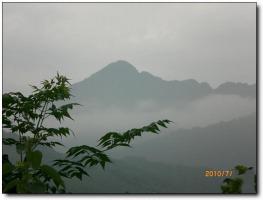 南靖紫荊山 (5)_南靖紫荊山