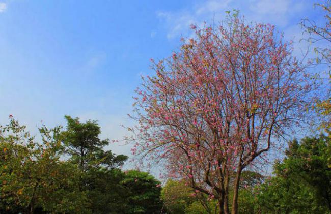 薌城勝利公園 (4)_薌城勝利公園