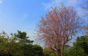 薌城勝利公園 (4)_薌城勝利公園