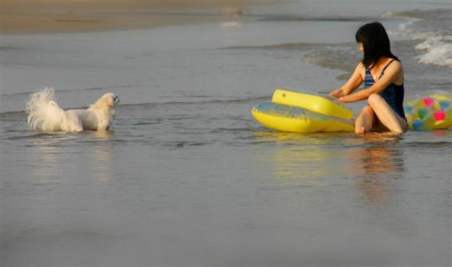 漳浦月光沙灘 (6)_漳浦月光沙灘