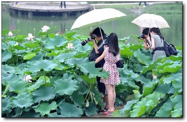 倉山金山公園 (4)_倉山金山公園