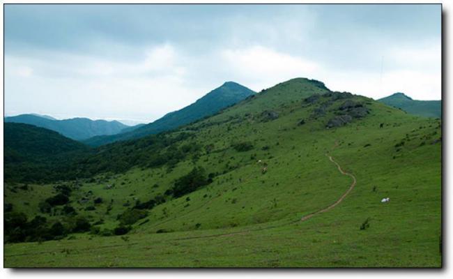 福清大姆山草場 (6)_福清大姆山草場