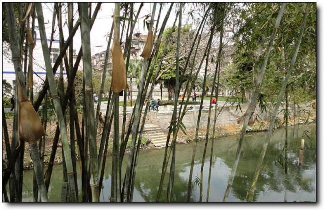 鼓樓白馬河公園 (5)_鼓樓白馬河公園