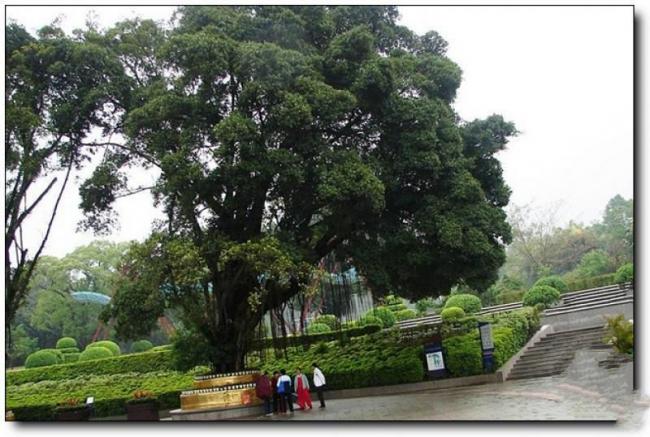 鼓樓金牛山公園 (3)_鼓樓金牛山公園