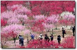 晉安國家森林公園 (5)_晉安國家森林公園