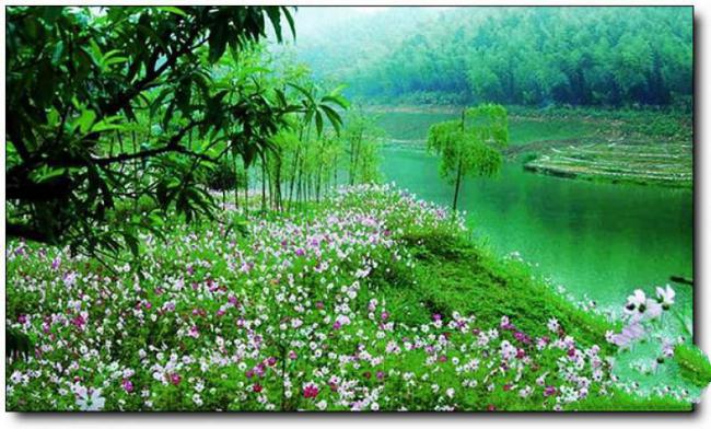 晉安那里花海 (1)_晉安那里花海