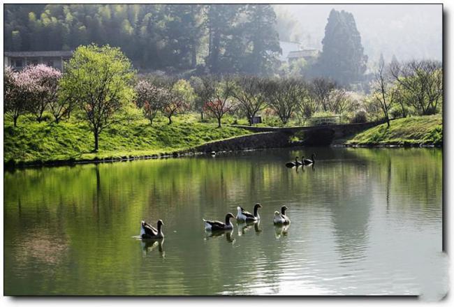 閩侯旗山森林公園 (5)_閩侯旗山森林公園