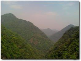 閩侯旗山森林公園 (1)_閩侯旗山森林公園