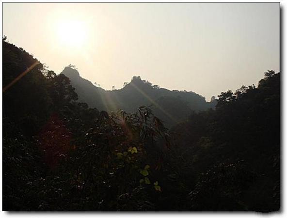 閩侯旗山竹樓山莊 (5)_閩侯旗山竹樓山莊