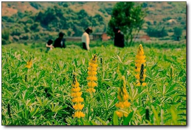 閩侯龍臺山生態(tài)園 (1)_閩侯龍臺山生態(tài)園