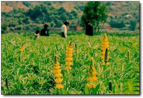 閩侯龍臺(tái)山生態(tài)園 (1)_閩侯龍臺(tái)山生態(tài)園