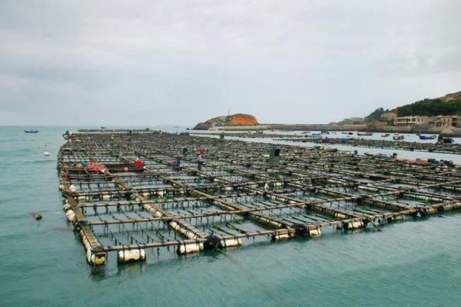 平潭東癢島 (3)_平潭東癢島