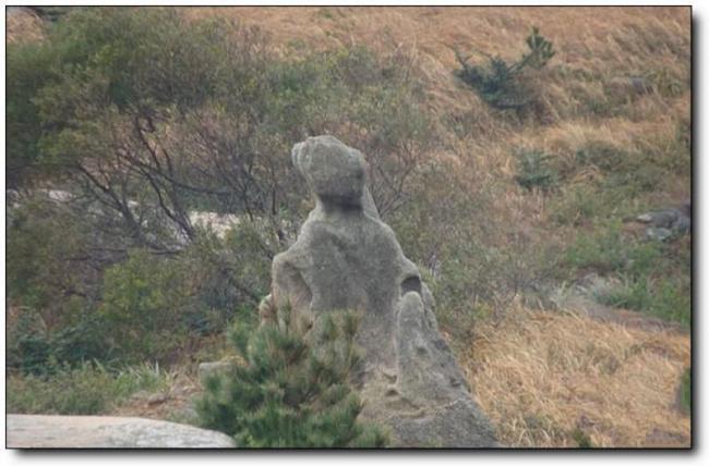 平潭南寨山石林 (2)_平潭南寨山石林