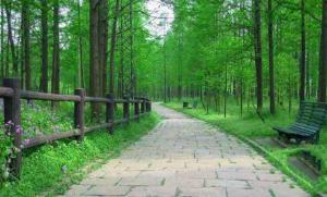 平潭島國家森林公園_平潭島國家森林公園